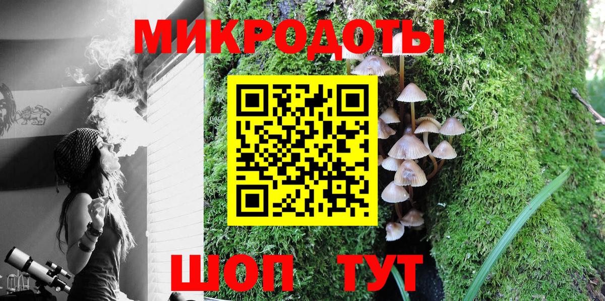 Великий Устюг  Псилоцибиновые грибы Cubensis  Вход с VPN 