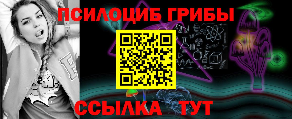 Галлюциногенные грибы ЛСД Великий Устюг